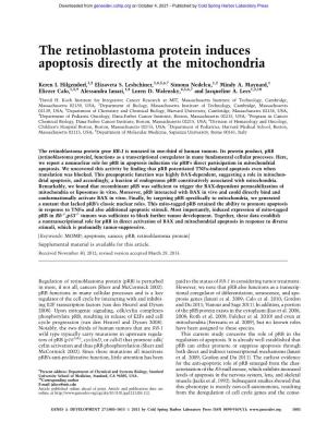 The Retinoblastoma Protein Induces Apoptosis Directly at the Mitochondria