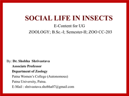 SOCIAL LIFE in INSECTS E-Content for UG ZOOLOGY; B.Sc.-I; Semester-II; ZOO CC-203