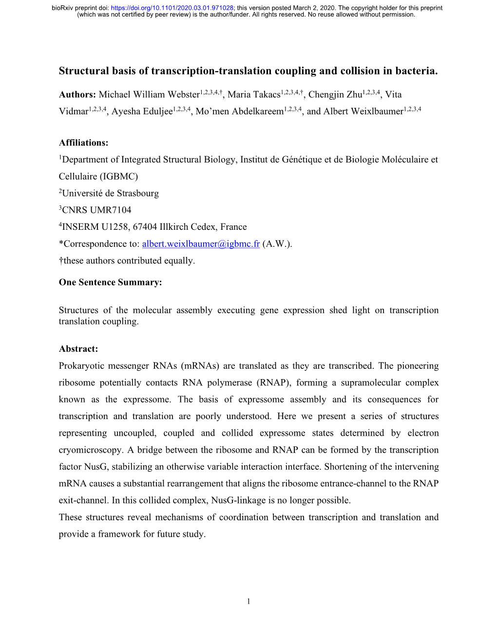 Structural Basis of Transcription-Translation Coupling and Collision in Bacteria