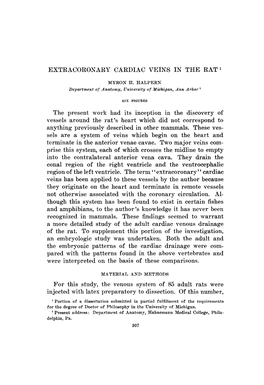 EXTRACORONARY CARDIAC VEINS in the RAT1 the Present Work