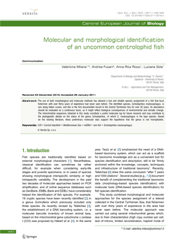 Molecular and Morphological Identification of an Uncommon Centrolophid Fish