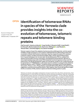 Identification of Telomerase Rnas in Species of the Yarrowiaclade Provides Insights Into the Co