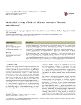 Vibriocidal Activity of Leaf and Rhizome Extracts of Maranta Arundinacea L