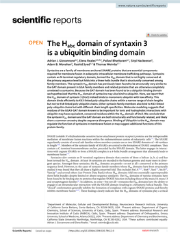 The Habc Domain of Syntaxin 3 Is a Ubiquitin Binding Domain