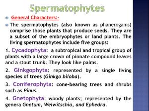® General Characters:- ® the Spermatophytes (Also Known As