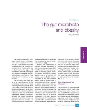 The Gut Microbiota and Obesity