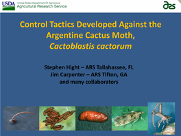 Cactoblastis Cactorum