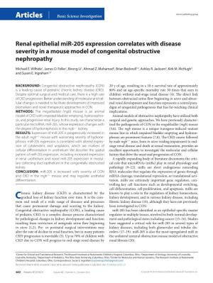 Renal Epithelial Mir-205 Expression Correlates with Disease Severity in a Mouse Model of Congenital Obstructive Nephropathy