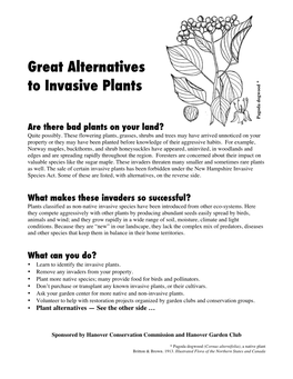 Great Alternatives to Invasive Plants
