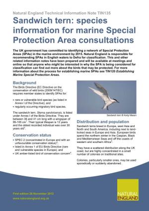 Sandwich Tern: Species Information for Marine Special Protection Area Consultations