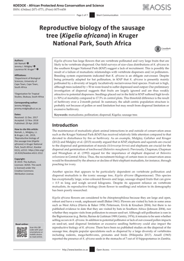 Reproductive Biology of the Sausage Tree (Kigelia Africana) in Kruger National Park, South Africa