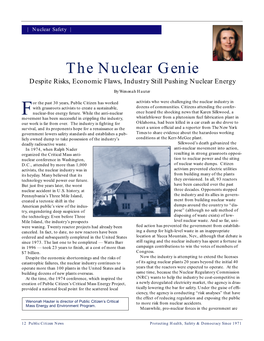 The Nuclear Genie Despite Risks, Economic Flaws, Industry Still Pushing Nuclear Energy