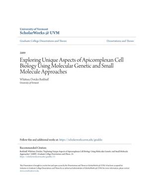 Exploring Unique Aspects of Apicomplexan Cell Biology Using Molecular Genetic and Small Molecule Approaches Whittney Dotzler Barkhuff University of Vermont