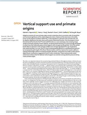 Vertical Support Use and Primate Origins Gabriel S