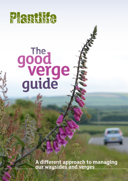 The Good Verge Guide