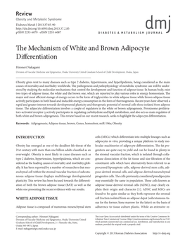 The Mechanism of White and Brown Adipocyte Differentiation
