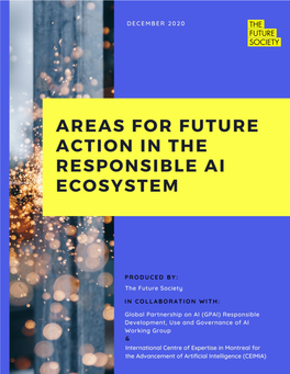 Areas for Future Action in the Responsible AI Ecosystem