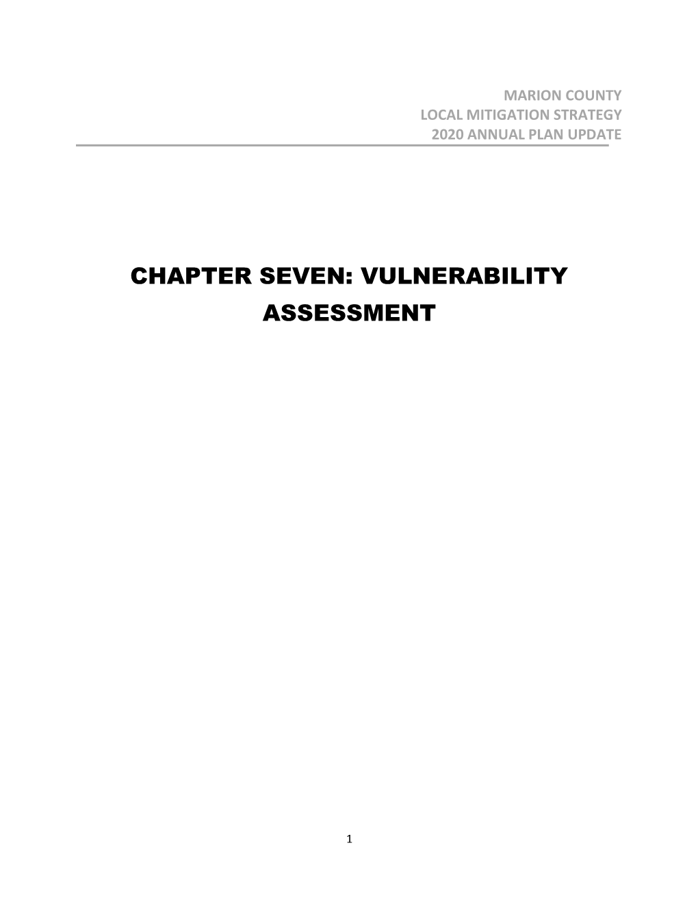 Vulnerability Assessment