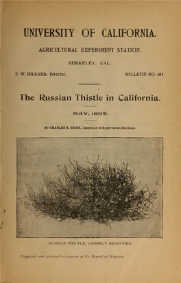 The Russian Thistle in California