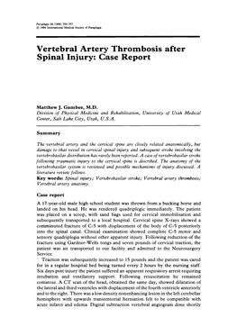 Vertebral Artery Thrombosis After Spinal Injury: Case Report