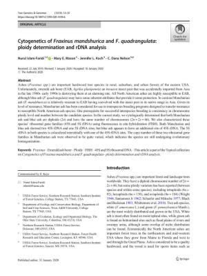 Cytogenetics of Fraxinus Mandshurica and F. Quadrangulata: Ploidy Determination and Rdna Analysis