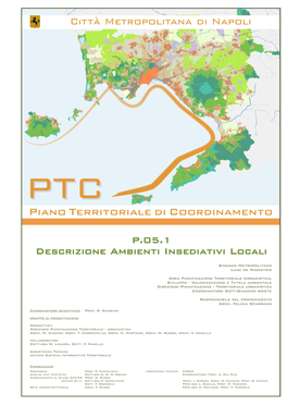P.05.1 Descrizione Ambienti Insediativi Locali