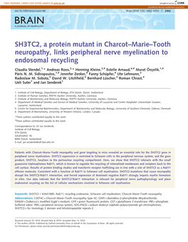 SH3TC2, a Protein Mutant in Charcot–Marie–Tooth Neuropathy, Links Peripheral Nerve Myelination to Endosomal Recycling