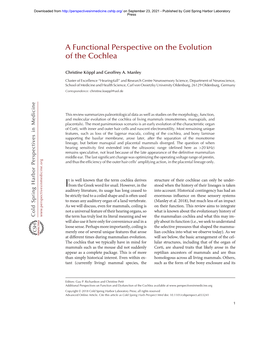 A Functional Perspective on the Evolution of the Cochlea