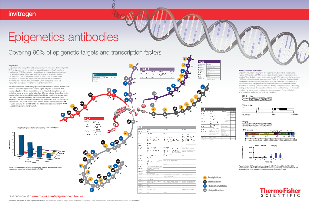 Covering 90% of Epigenetic Targets and Transcription Factors