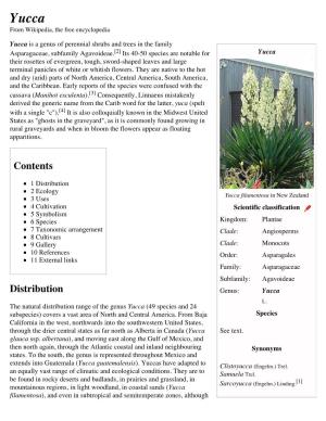 Yucca from Wikipedia, the Free Encyclopedia