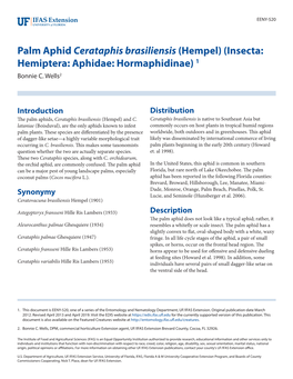 Palm Aphid Cerataphis Brasiliensis (Hempel) (Insecta: Hemiptera: Aphidae: Hormaphidinae) 1 Bonnie C