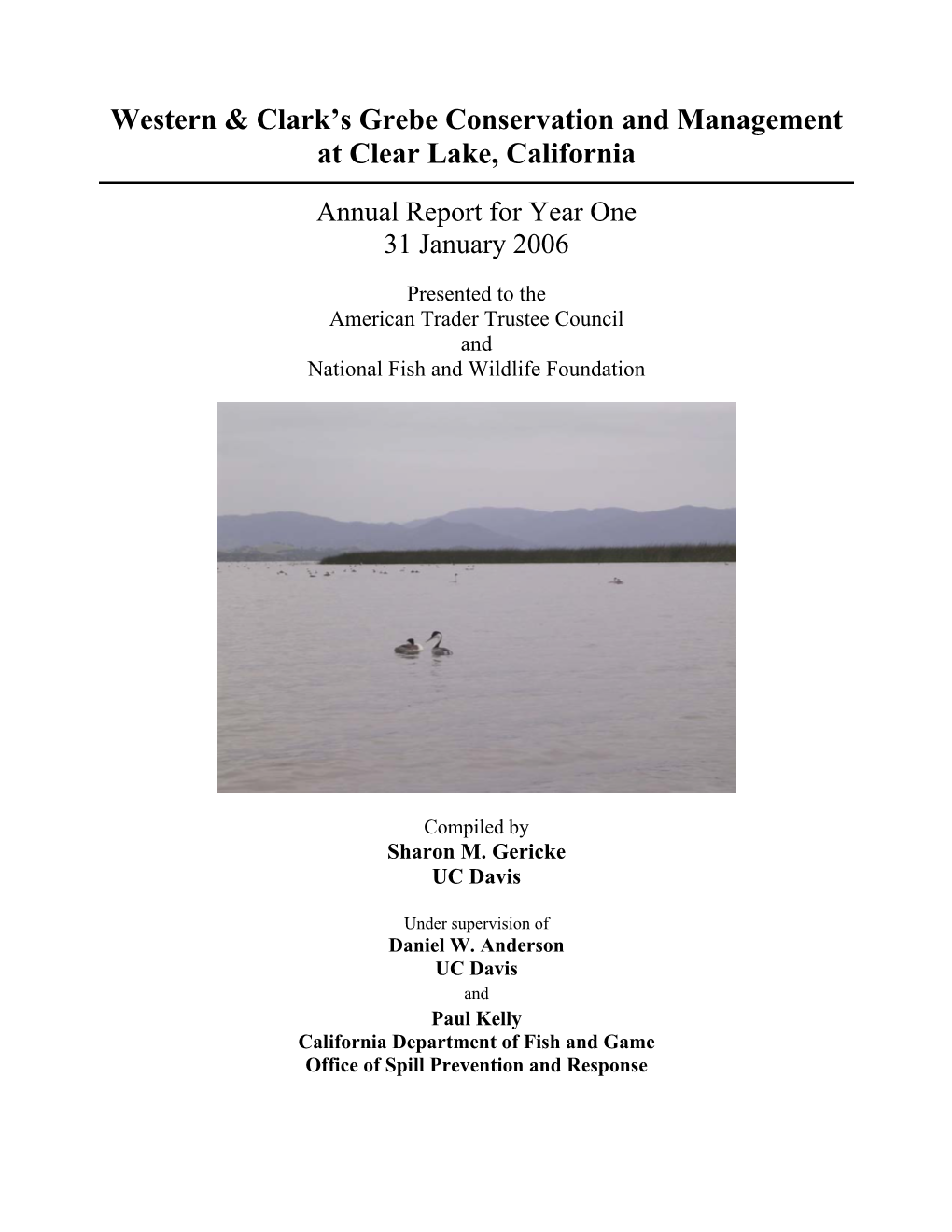Western and Clark's Grebe Conservation and Management At