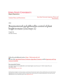 Brassinosteroid and Gibberellin Control of Plant Height in Maize (Zea Mays