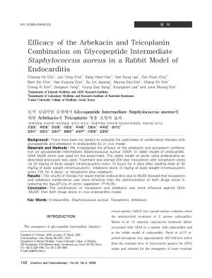 Efficacy of the Arbekacin and Teicoplanin Combination On