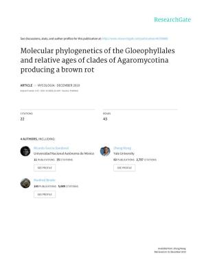 Molecular Phylogenetics of the Gloeophyllales and Relative Ages of Clades of Agaromycotina Producing a Brown Rot