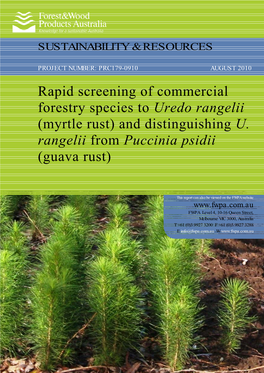 Rapid Screening of Commercial Forestry Species to Uredo Rangelii (Myrtle Rust) and Distinguishing U