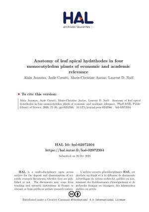 Anatomy of Leaf Apical Hydathodes in Four Monocotyledon Plants of Economic and Academic Relevance Alain Jauneau, Aude Cerutti, Marie-Christine Auriac, Laurent D