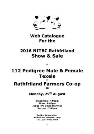 Show & Sale 112 Pedigree Male & Female Texels Rathfriland Farmers