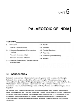 Palaeozoic of India