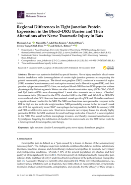 Regional Differences in Tight Junction Protein Expression in the Blood–DRG Barrier and Their Alterations After Nerve Traumatic