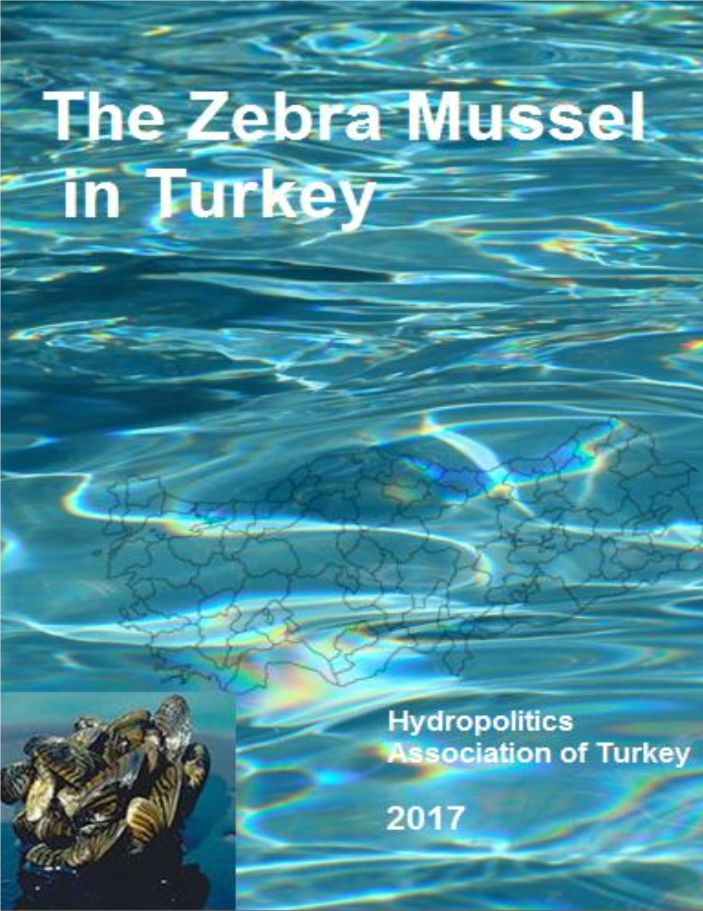 The-Zebra-Mussel-In-Turkey-Report2.Pdf