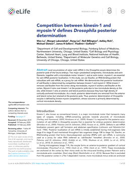 Competition Between Kinesin-1 and Myosin-V Defines Drosophila