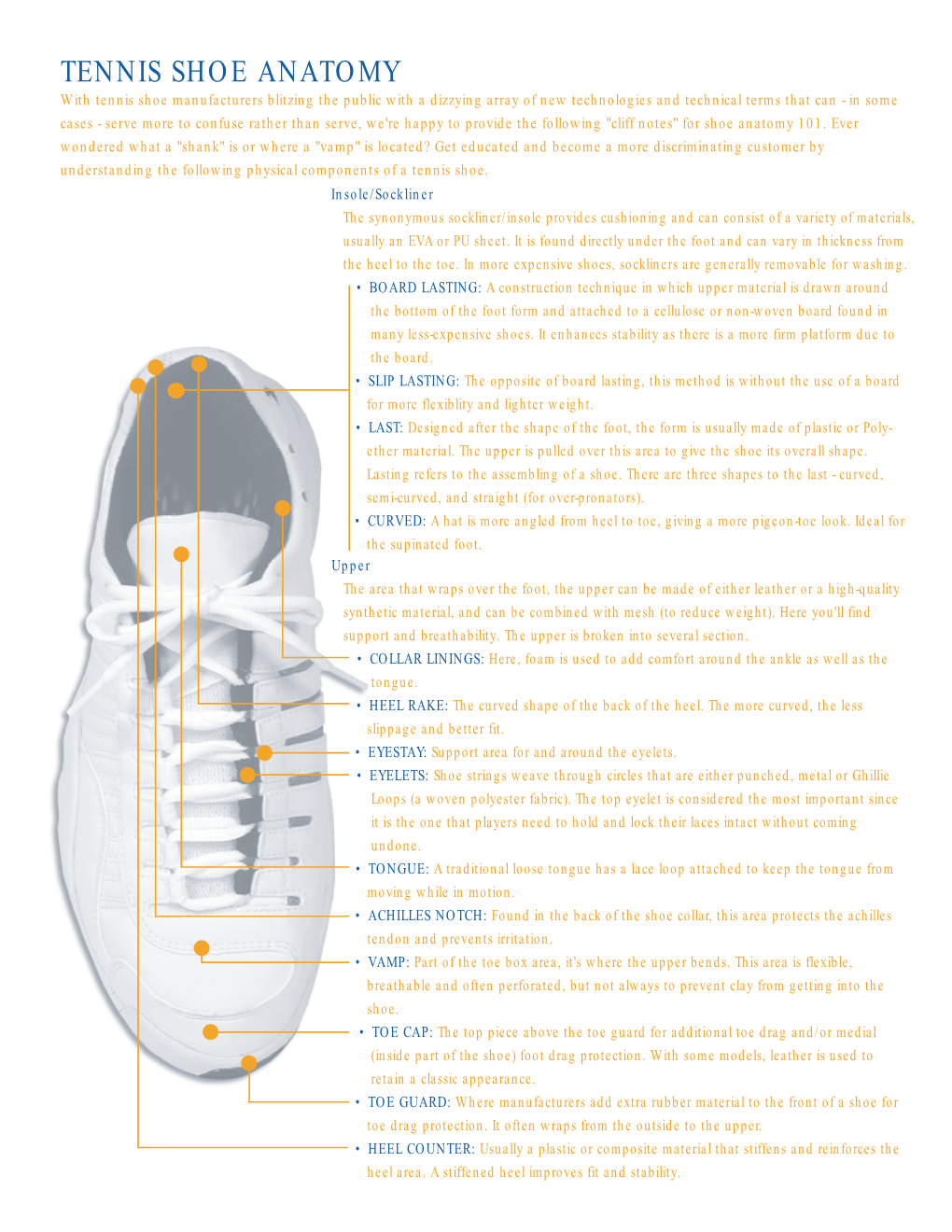 Tennis Shoe Anatomy