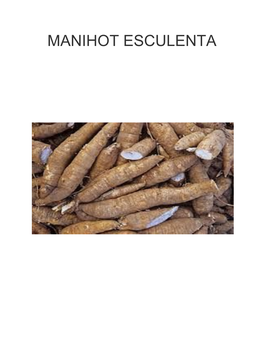 Manihot Esculenta
