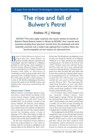 The Rise and Fall of Bulwer's Petrel