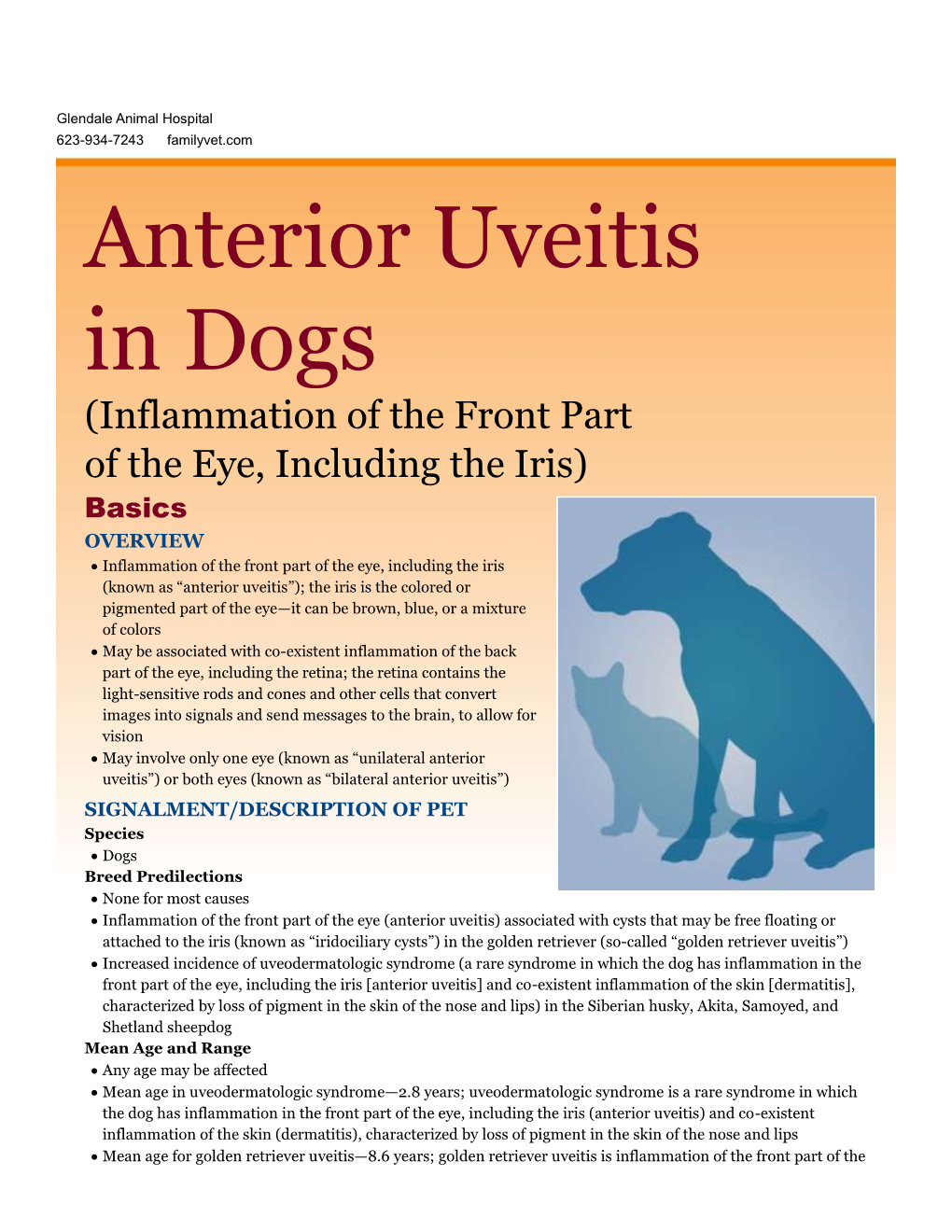 Anterior Uveitis in Dogs