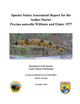 Species Status Assessment Report for the Amber Darter Percina Antesella Williams and Etnier 1977