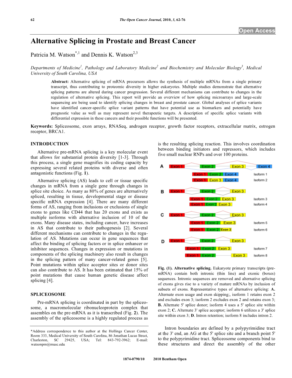 Alternative Splicing in Prostate and Breast Cancer