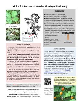 Guide for Removal of Invasive Himalayan Blackberry