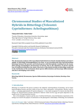 Chromosomal Studies of Masculinized Hybrids in Bitterlings (Teleostei: Cypriniformes: Acheilognathinae)